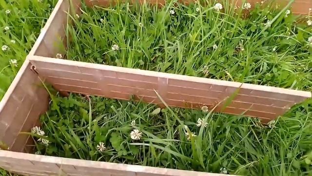 СТРОИМ ВОЛЬЕР-ЛАБИРИНТ ДЛЯ МОРСКОЙ СВИНКИ!!! ??? Где гуляет моя морская свинка??? смотреть онлайн