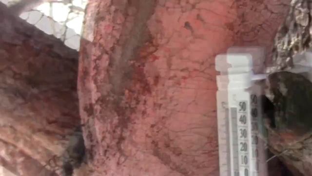 Эксплуатация безрамного остекления зимой