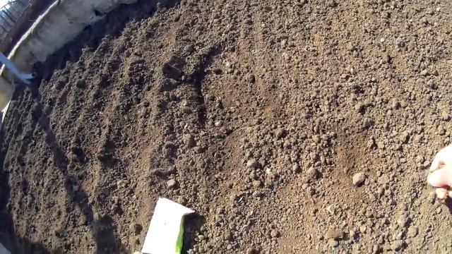 Наш огород. Сеем петрушку и укроп. смотреть онлайн