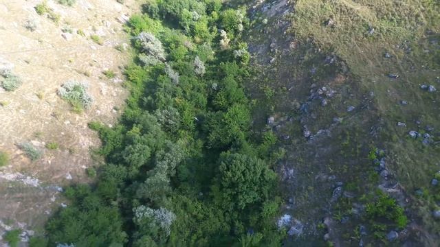 09.07.17 мост канат смотреть онлайн