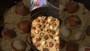 Сажаем тюльпаны в горшки )