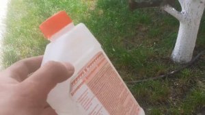 Как очистить воду в бассейне на даче Средство дезинфицирующее БИОПАГ - Д как собрать басейн Intex