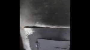 древесный уголь своими руками в домашних условиях - видео от соседа
