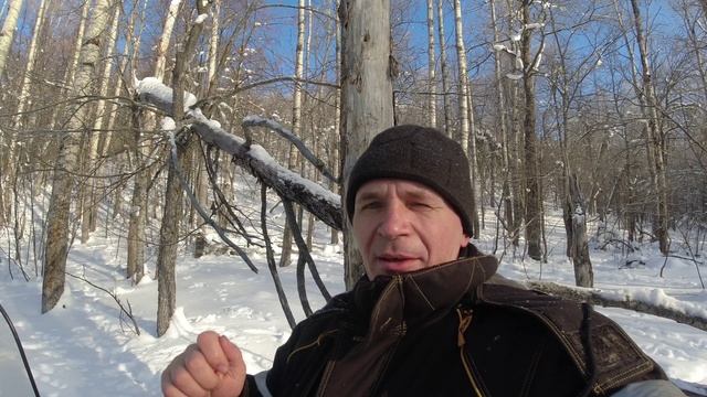 Лось хитрец. Моя ошибка. смотреть онлайн