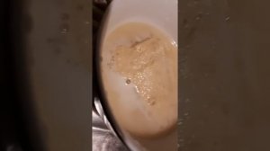 Как проверить грунт и камни для аквариума.