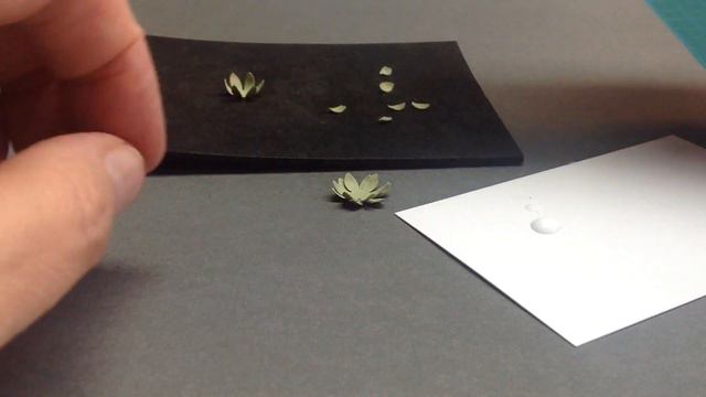 How to make miniature echeveria смотреть онлайн