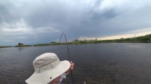 ЛОВЛЯ ЗМЕЕГОЛОВА НА СТАРЫЕ СНАСТИ,ДИКАЯ РЫБАЛКА.Рыбалка на реке Или.