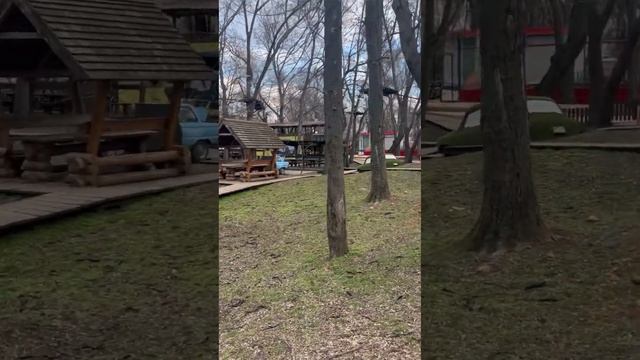 ДЮКОВСКИЙ ПАРК… ПРОГУЛКА С ЛИЛИЧКОЙ смотреть онлайн