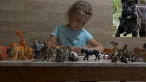 Изучаем диких животных  Пантера  Интересные факты о пантере!!!!!