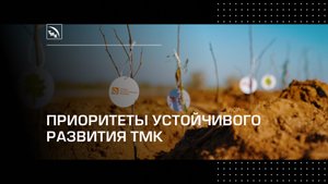 Приоритеты устойчивого развития ТМК