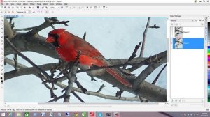 Corel PHOTO-PAINT X7 - How to keep only part of an image/photo in color