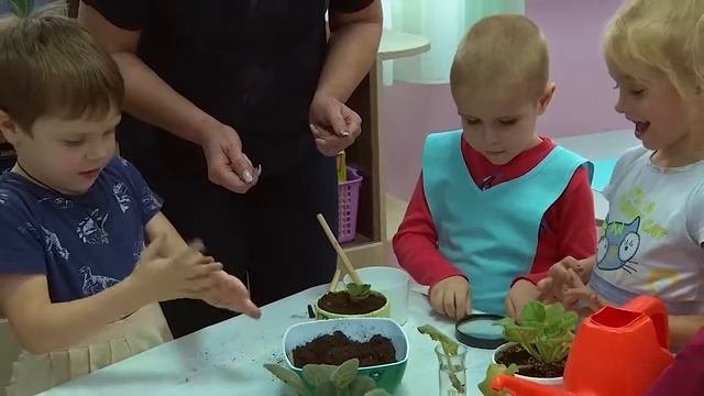 Самообразование педагогов