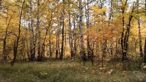 турбаза каменное озеро. 2021.10.04.