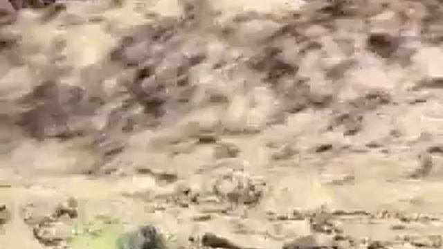 Сель.