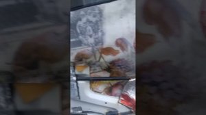 Водоотводящие шторки в дверь авто Лада Приора.