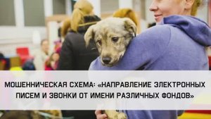 Этюд 4-2 Мошенническая схема «Электронные письма, сообщения и звонки от имени различных фондов»