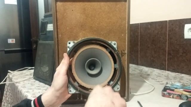 Советская акустика за 6 $ | 15 АС-223 ( 10 АС - 328) | динамик 10 ГДШ - 1 4 Ом | подвес рассыпался