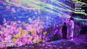 Музей цифрового искусства teamLab в Токио