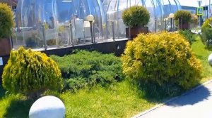 СОЧИ ПАРК ОТЕЛЬ. ДОРОГА К МОРЮ. МАЙ 2022.