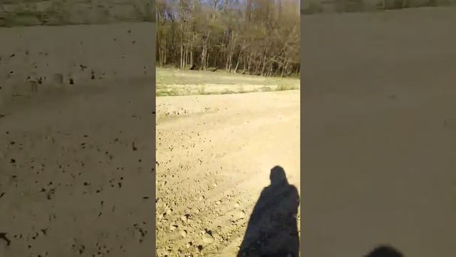 Культиватор