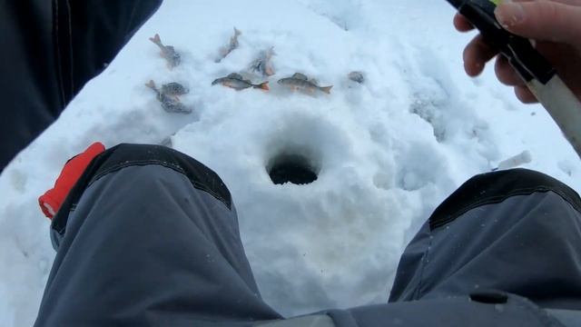 Снегоход Тикси 250. Зимняя рыбалка. Сямозеро, Окунь клюёт, Руки трещат от холода, Минус 24 градуса смотреть онлайн