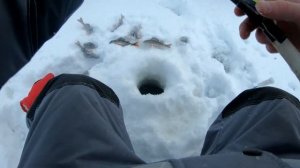 Снегоход Тикси 250. Зимняя рыбалка. Сямозеро, Окунь клюёт, Руки трещат от холода, Минус 24 градуса