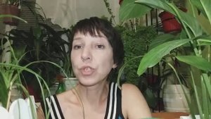 БОКАРНЕЯ,НОЛИНА .  БУТЫЛОЧНАЯ ПАЛЬМА