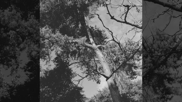 Музыка (Университет) смотреть онлайн