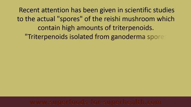 Reishi Mushroom Benefits as a Super Tonic смотреть онлайн