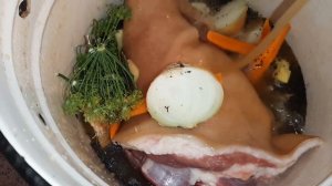 Свиная рулька в квасе.