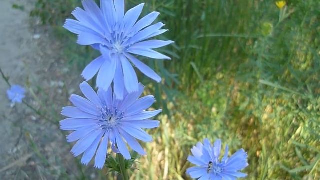 Родным людям.Стихи(аудио).Современная поэзия.Поэзия для души.