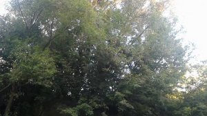 Рыбалка Некрасово