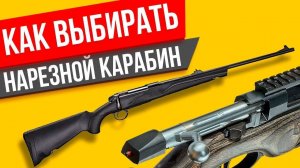 Как выбирать нарезной карабин или винтовку при покупке