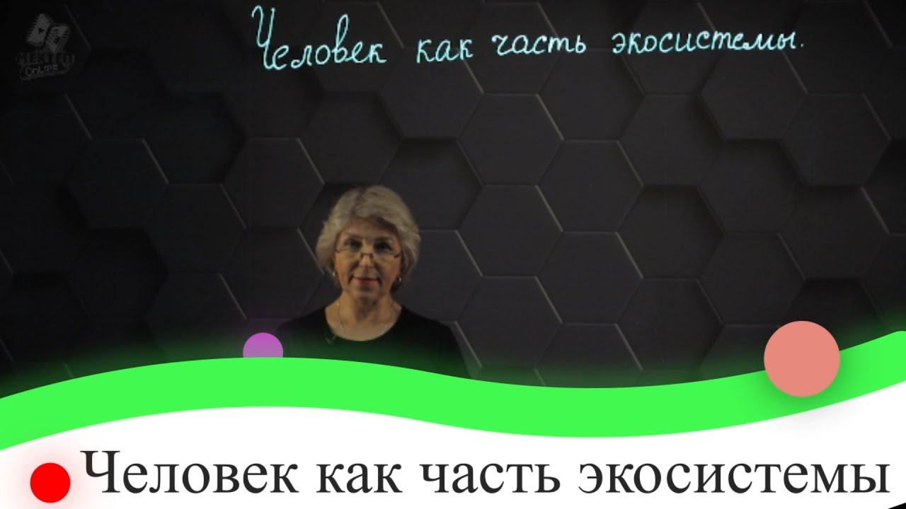 Человек как часть экосистемы. 7 класс.