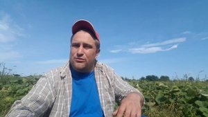 Грабли солнышко для мотоблока // Новые телята // Последние новости