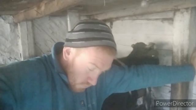 ПОЕХАЛ ПОКУПАТЬ КОРОВУ, А ТАМ ?♂️ смотреть онлайн