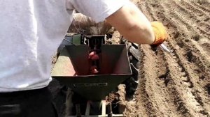 Мотоблок зубр, посадка картофеля сажалкой