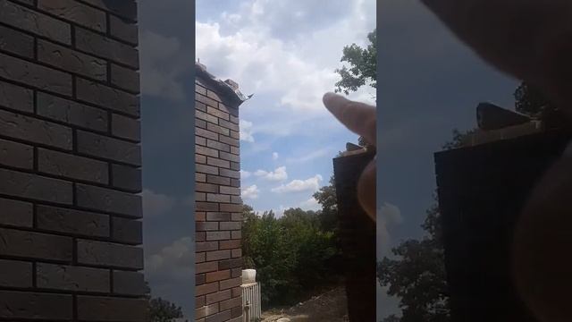 #маурлат#столб#кирпичный#внутримонолит#армированный#и#шилька смотреть онлайн