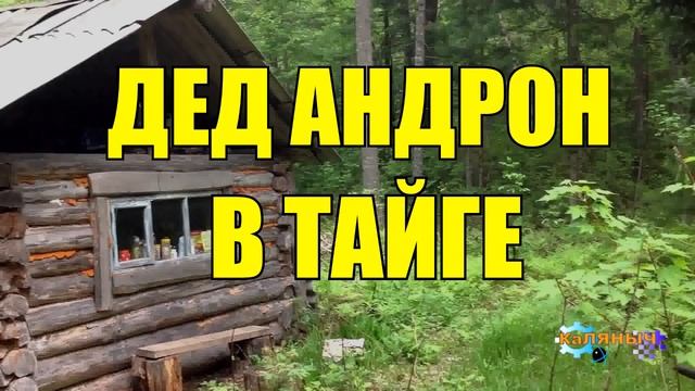 ВЕРНАЯ СОБАКА | ДЕД АНДРОН | ЖИЗНЬ В ТАЙГЕ смотреть онлайн