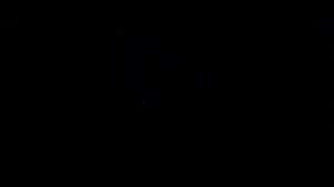 Поезд № 28 сообщением Брест Центр. - Москва Бел. Отправление со станции "Борисов"