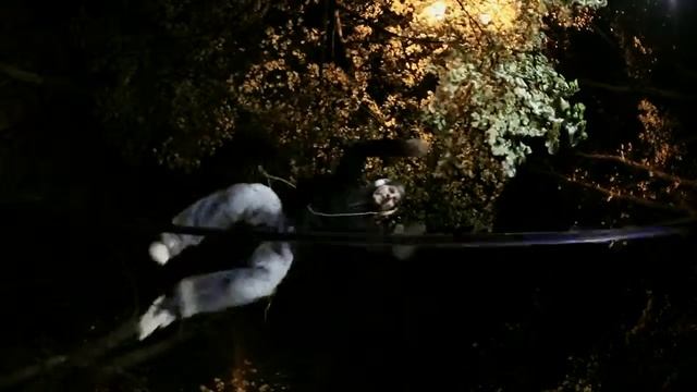 Обзор наушников Philips SHO9567 смотреть онлайн