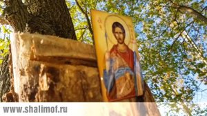 Вунена. Преподобномученик Николай Новый