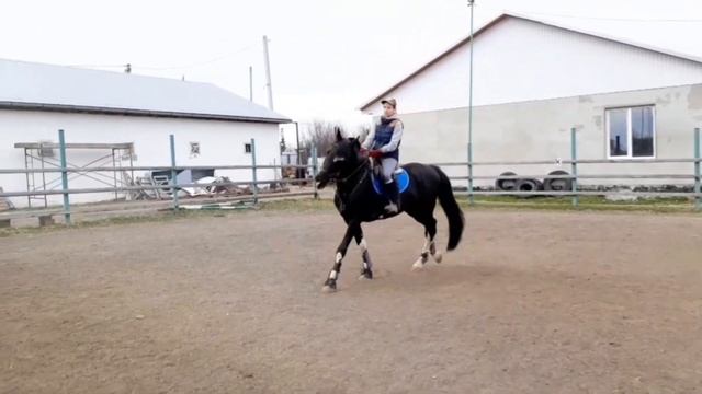 Изучаем аллюры. Часть 1