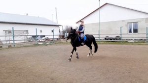 Изучаем аллюры. Часть 1