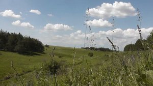 Людмила Зыкина  Завела метель песню русскую