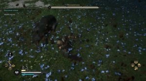 БОЛЬШАЯ СЕМЬЯ, СЫН ЛОКИ ЭТО ВОЛК ▶ Assassin's Creed Valhalla