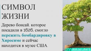 11 фактов об атомных бомбах и городах Хиросима и Нагасаки