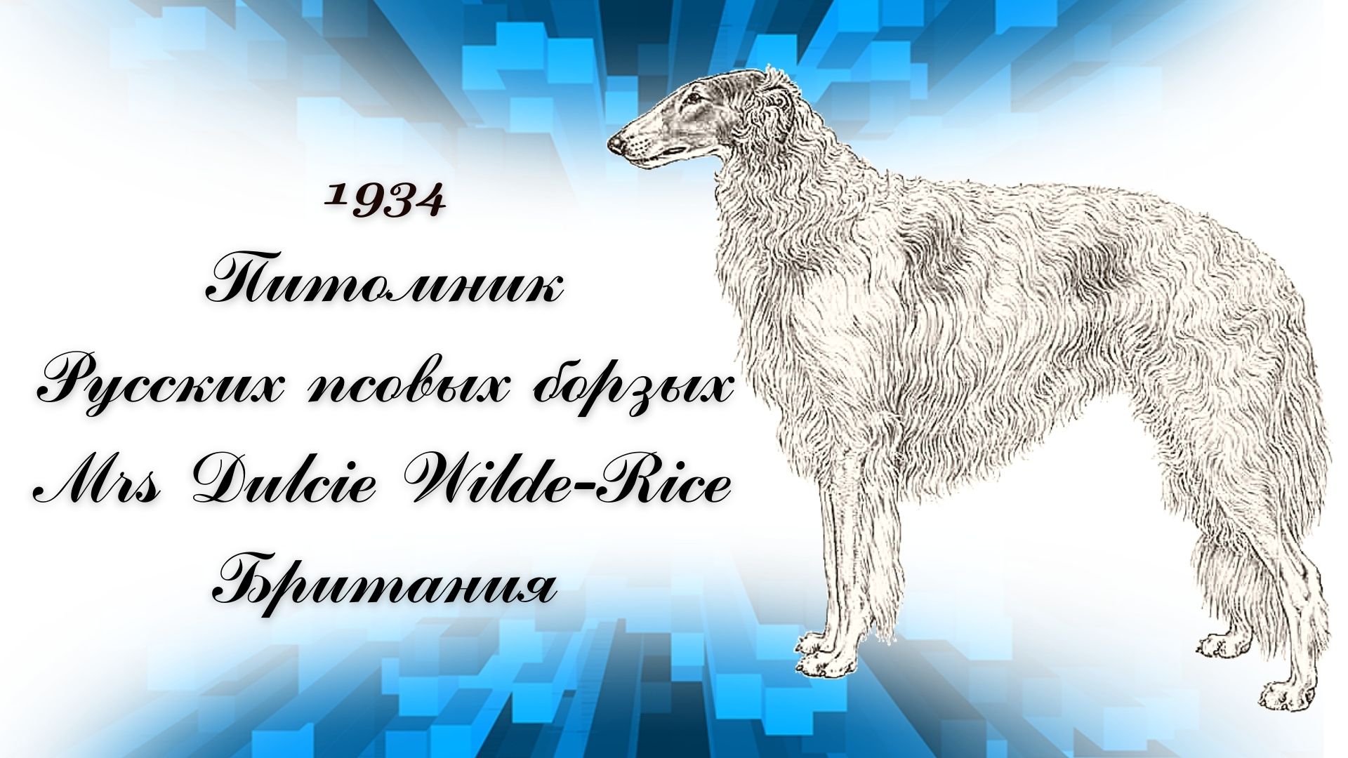 1934 Питомник Русских псовых борзых
Mrs Dulcie Wilde-Rice
Британия