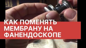 Как поменять мембрану в фанендоскопе (стетоскопе)| установка мембраны в стетоскоп (фонендоскоп)