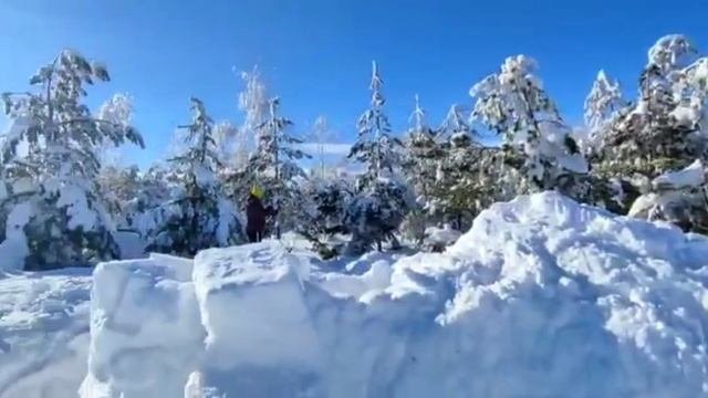 #выходные на Кумыске#мороз и солнце#день чудесный